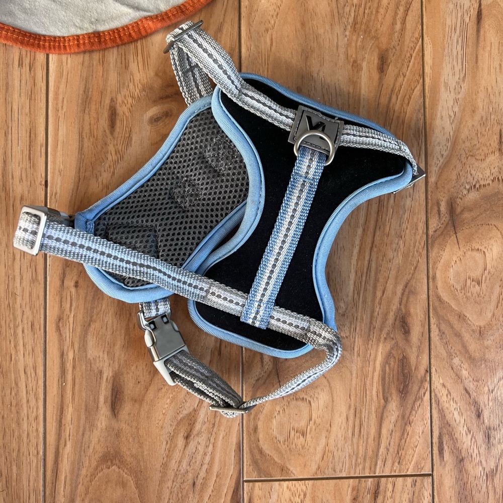 Harness